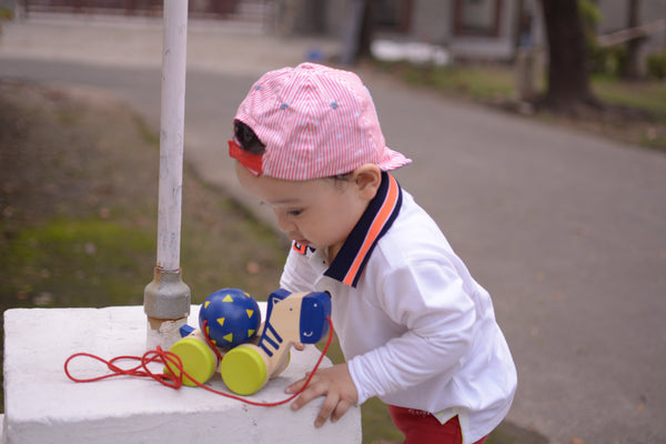 Wooden Zeebo Pull-Along Toy (1 Years+)